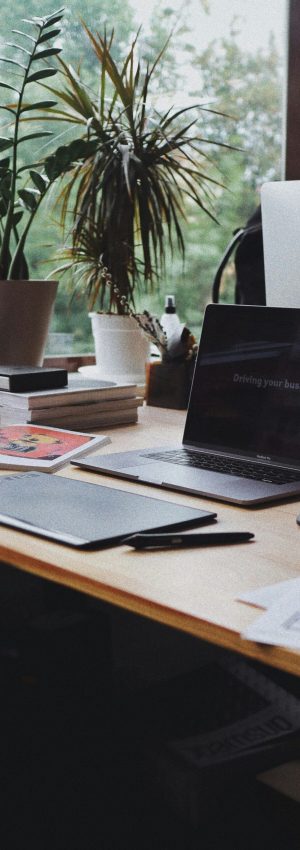 olena-bohovyk-dIMJWLx1YbE-unsplash